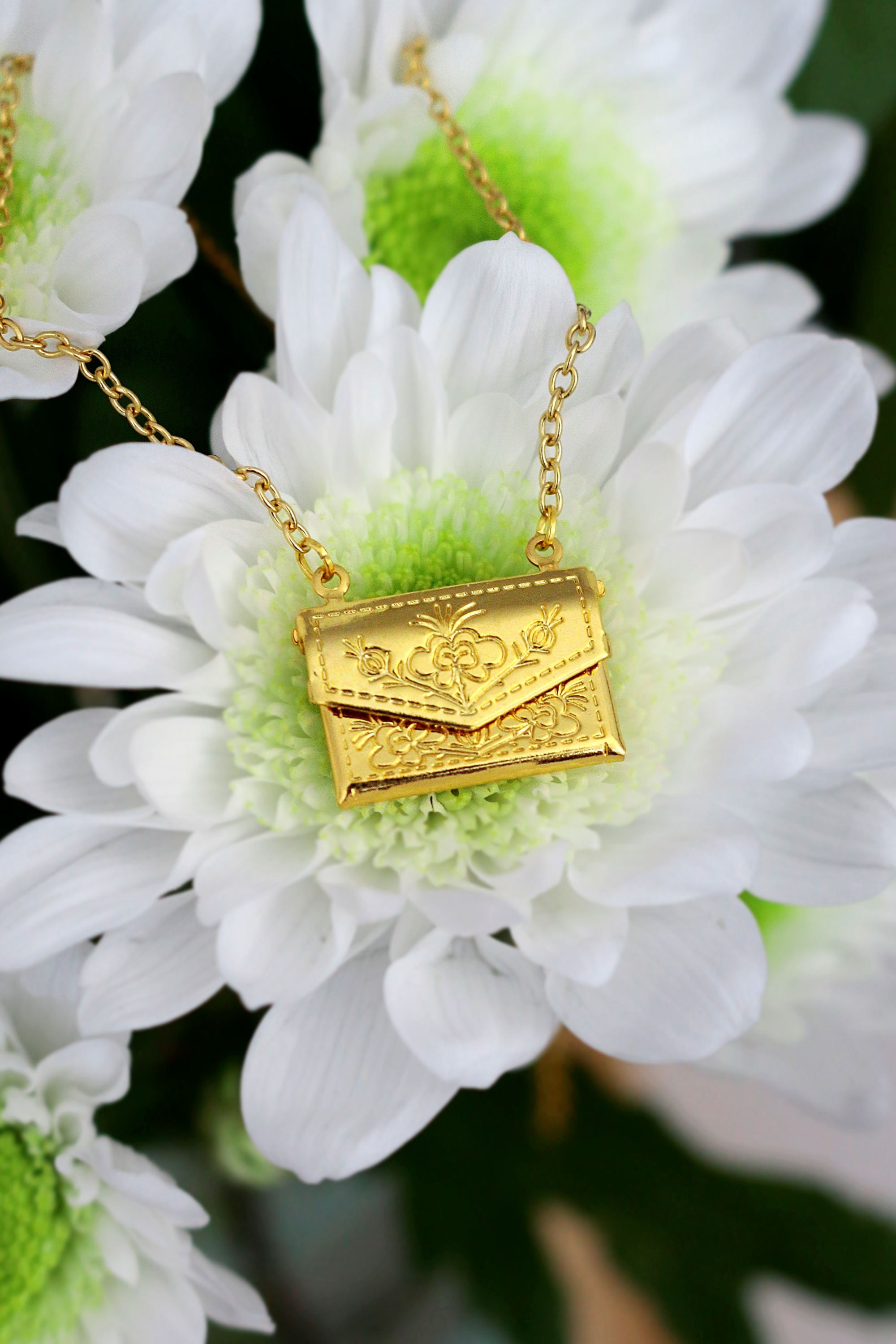 Náhrdelník 24 karátový Daisy Envelope Locket